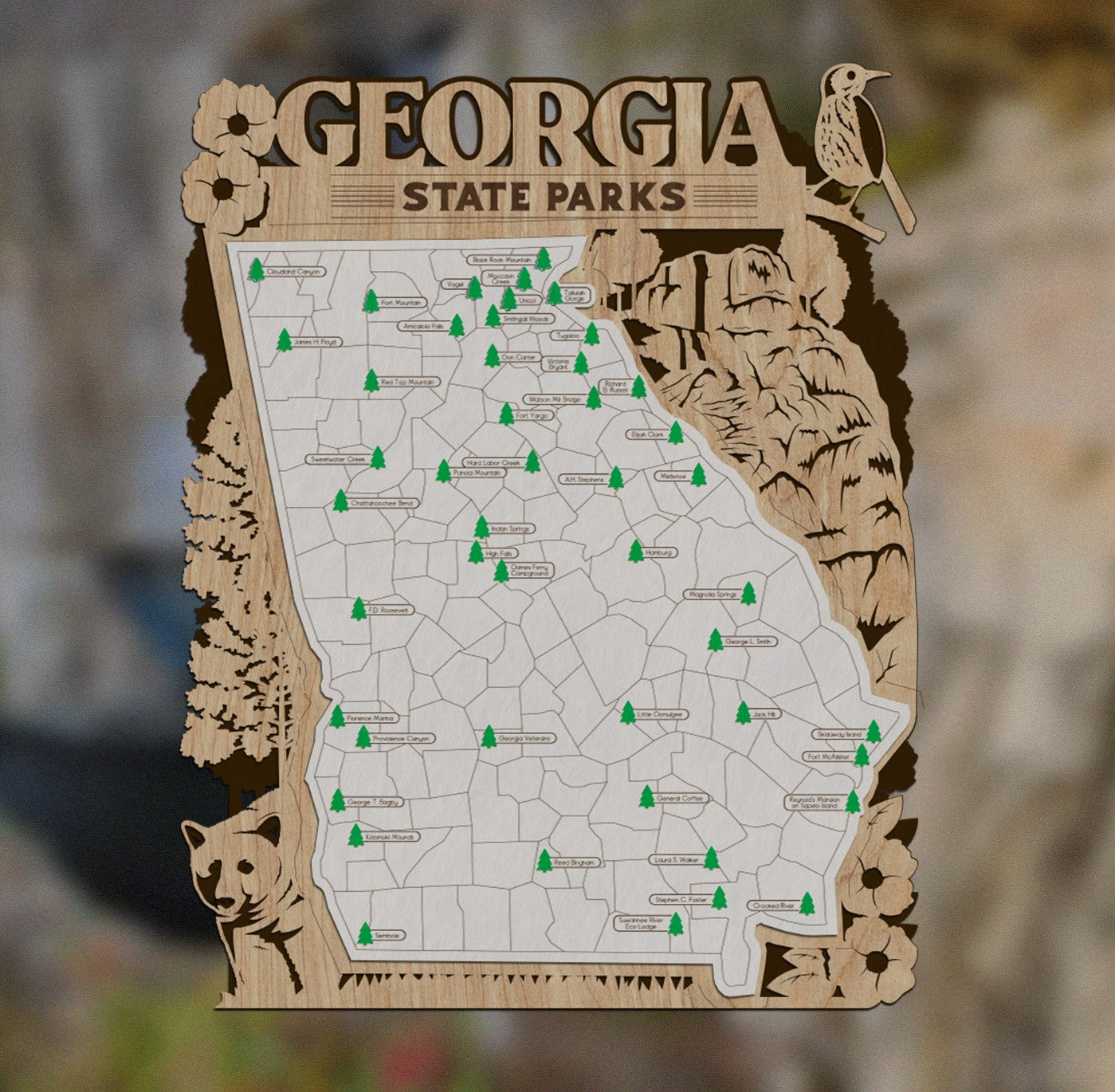 Georgia State Park Map